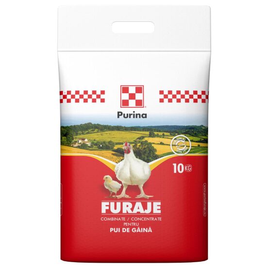 PURINA SUPER 10 KG F2