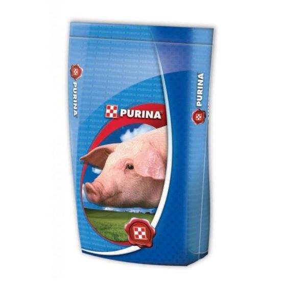 PURINA CONC.PORC SCROFINA 20KG