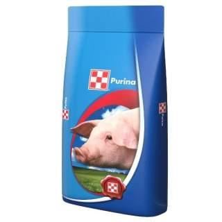 PURINA CONC.PORC STARTER 20KG