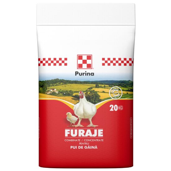 PURINA SUPER 20 KG F1