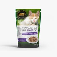 PET MIKAN PISICI JUNIOR PLIC SOMON 100G (24 BUC)
